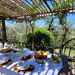  Ferienhaus Agriturismo Carducci